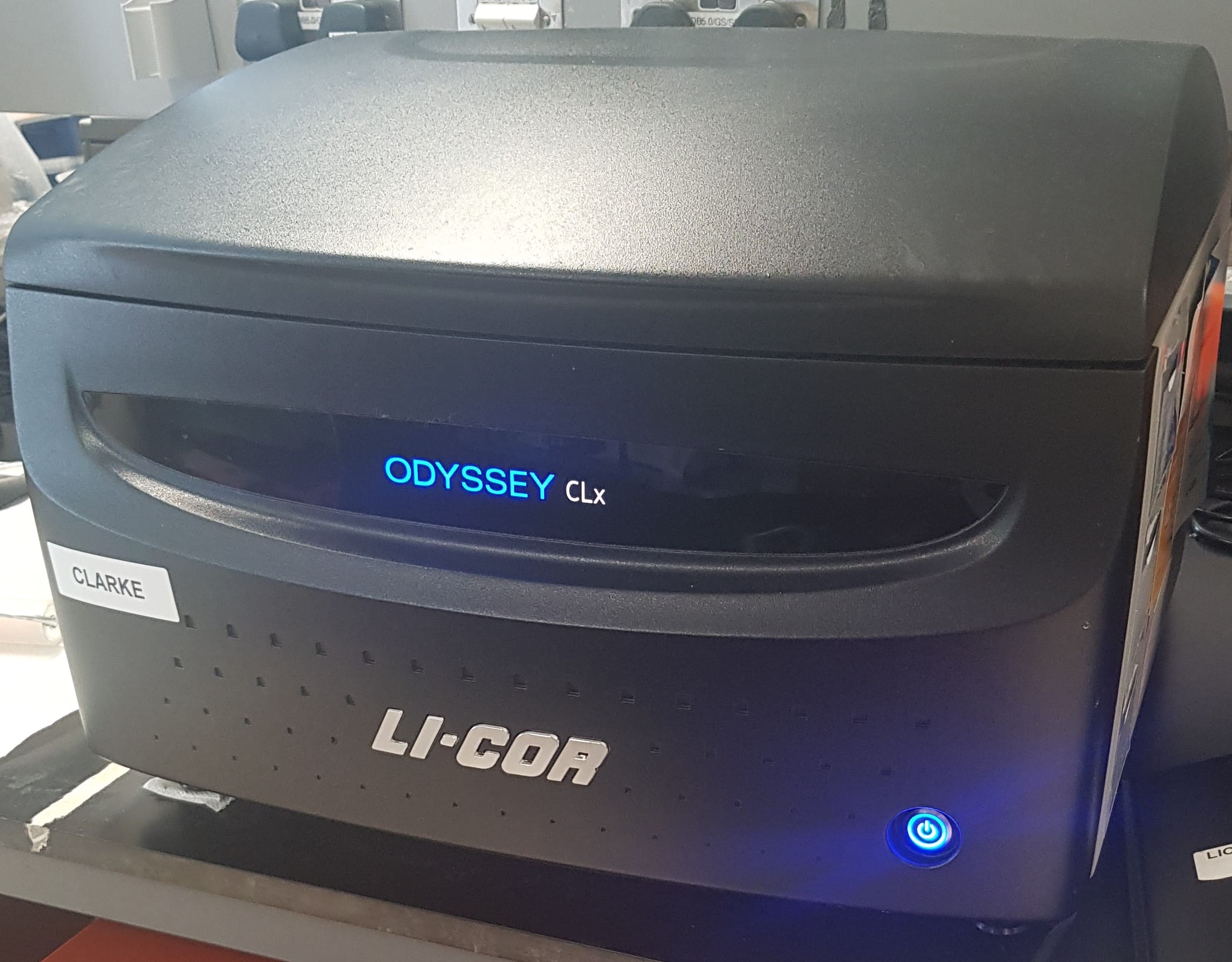 LI-COR Western Blotting Imaging System [Clarke]